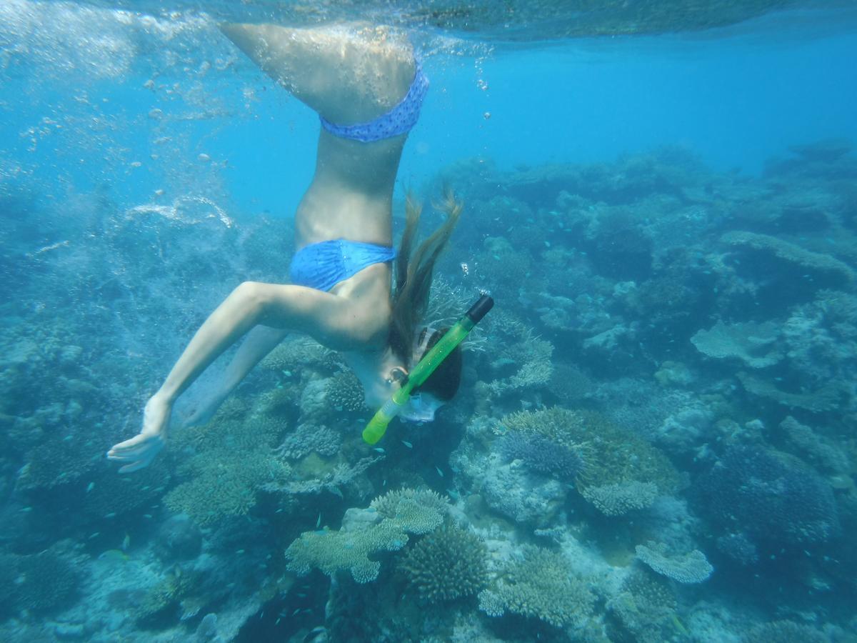 Surf Trip Maldives Thulusdhoo Ngoại thất bức ảnh